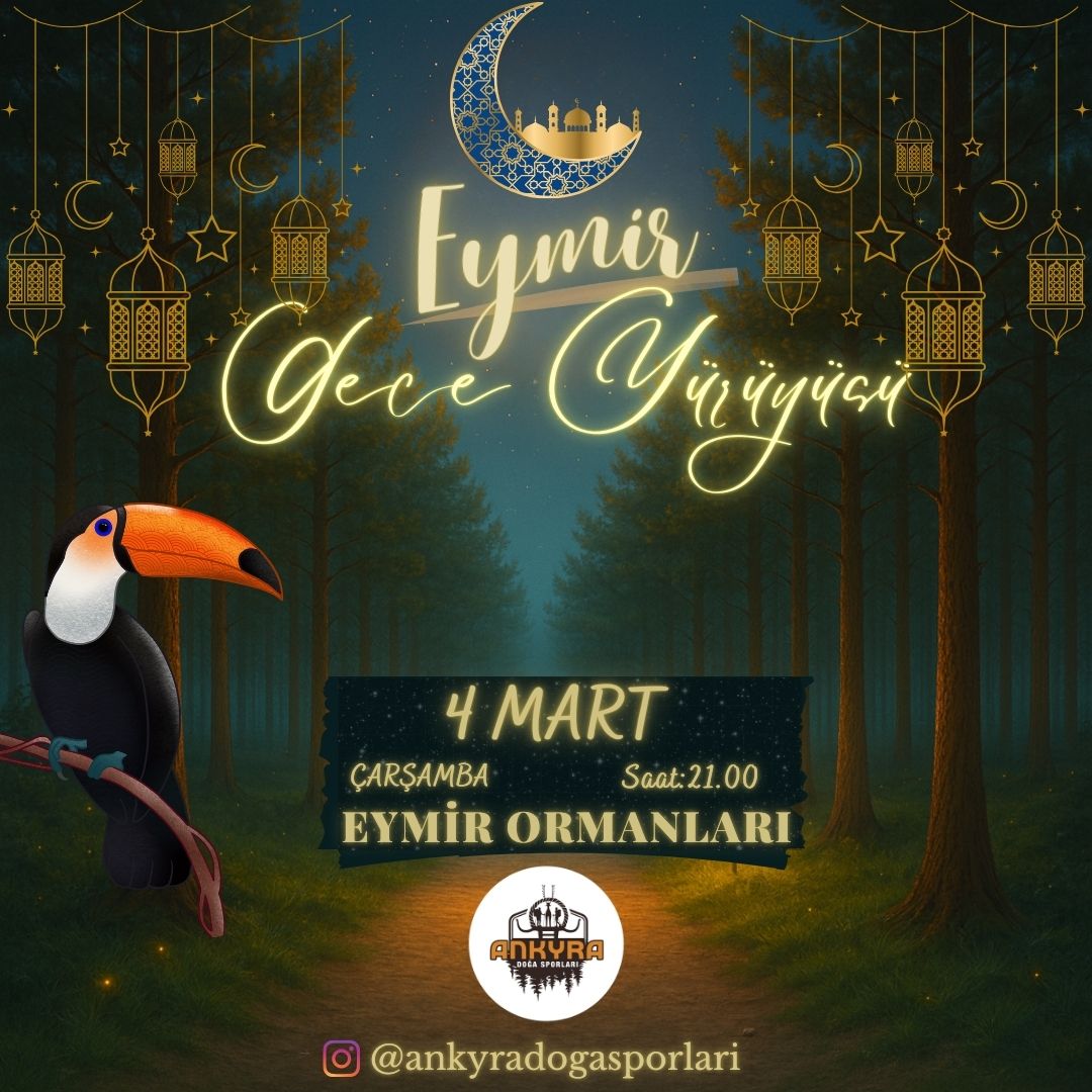 Eymir Gece Yürüyüşü (Tukan Rotası)
